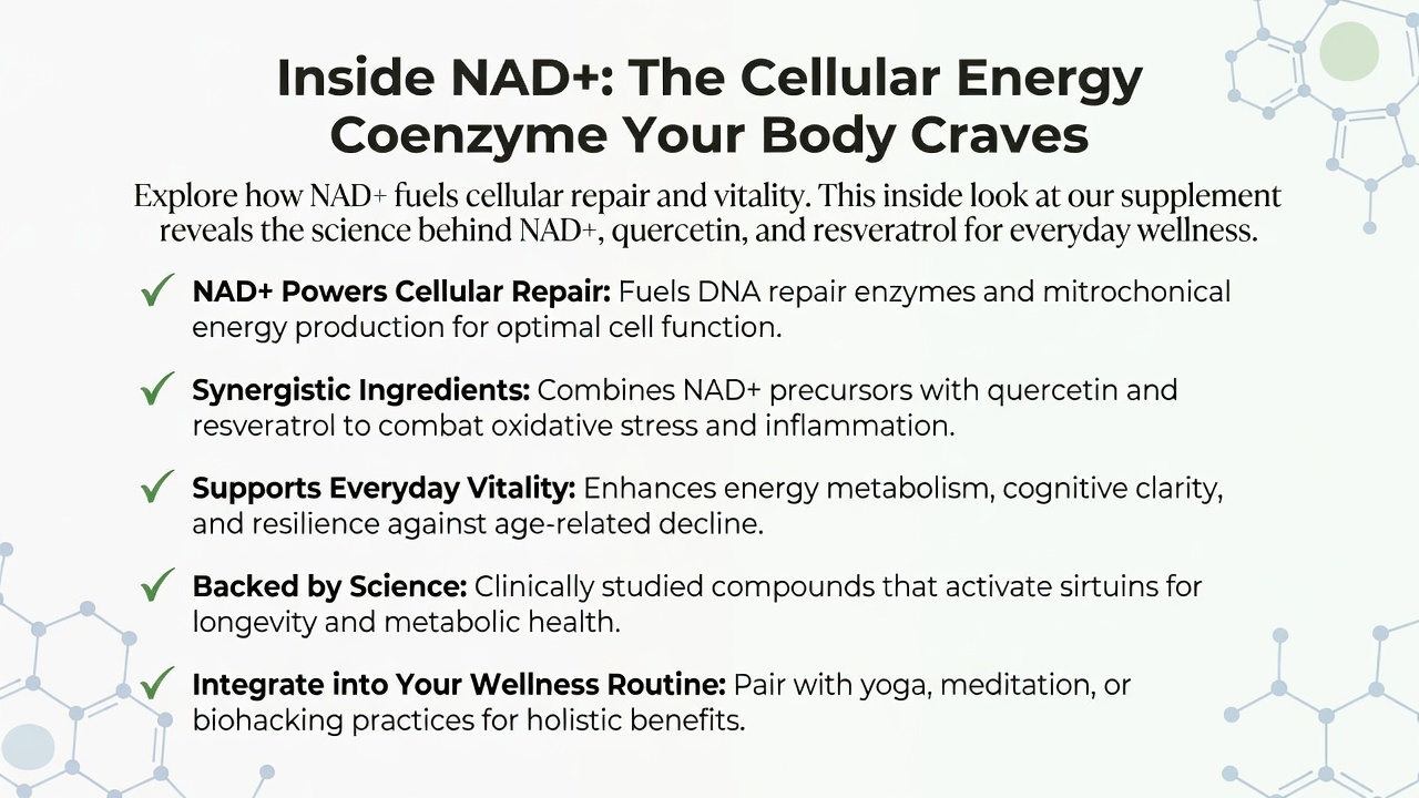 Inside NAD+: The Cellular Energy Coenzyme Your Body Craves